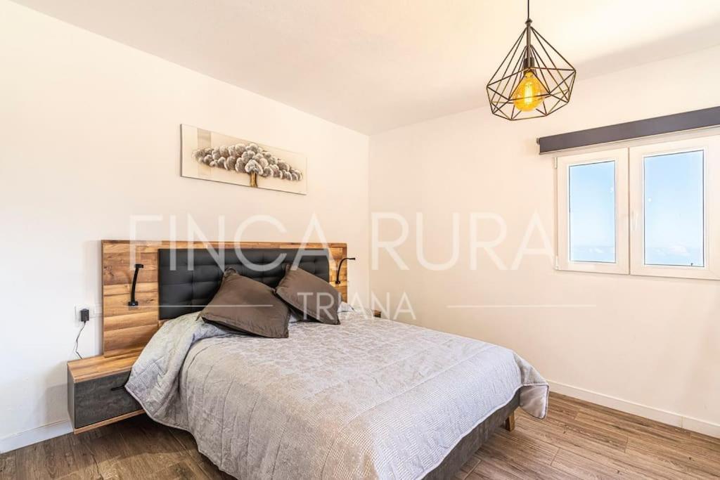 Finca Rural Triana 圣克鲁斯-德特内里费 外观 照片